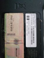 IMG_20220627_190627.jpg