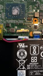 acer.jpg